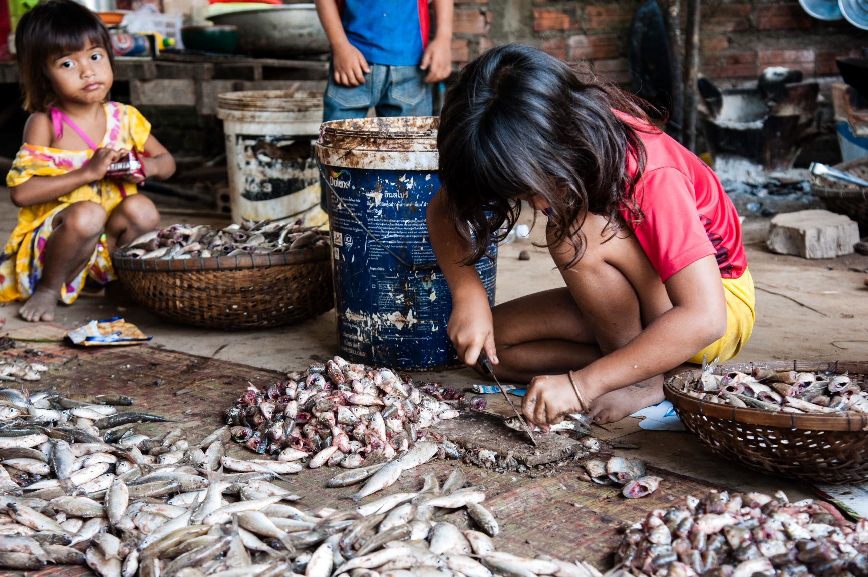 Cambodian food light