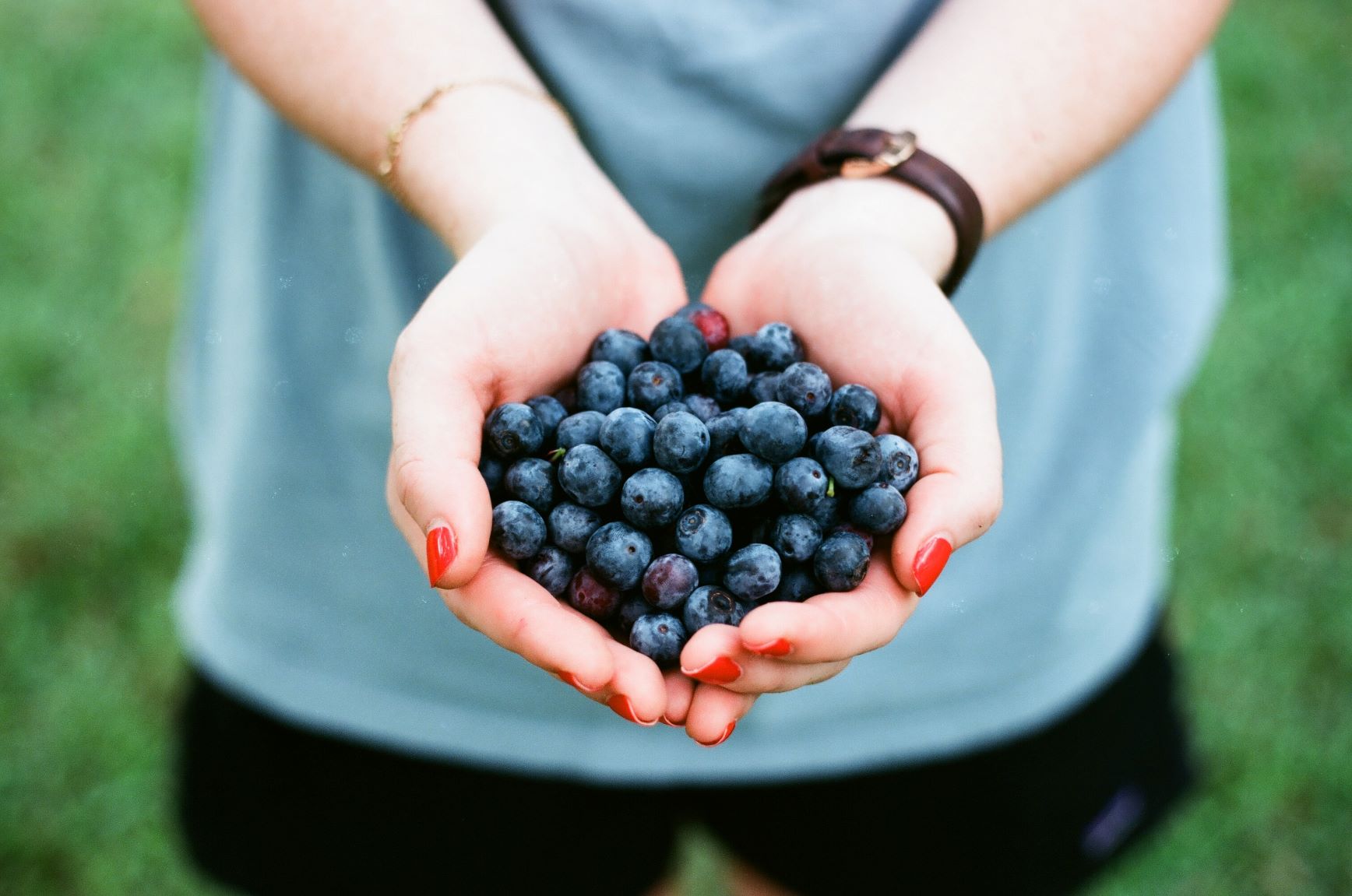 Are You Eating Blueberries or Bilberries?
