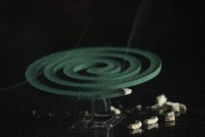 ronald langeveld GsMzDAi2HLk unsplash