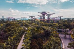 victor nDK 3biAGHc unsplash