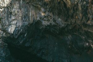 tobias tullius 9xxjAyCYdTM unsplash