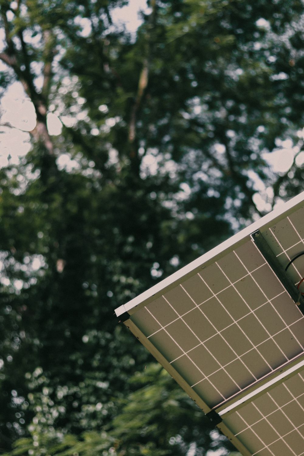 Kusu Island Fully Powered by Solar Energy
