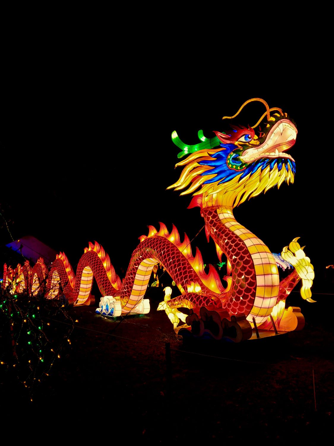 Asia Readies for the Year of Wood Dragon