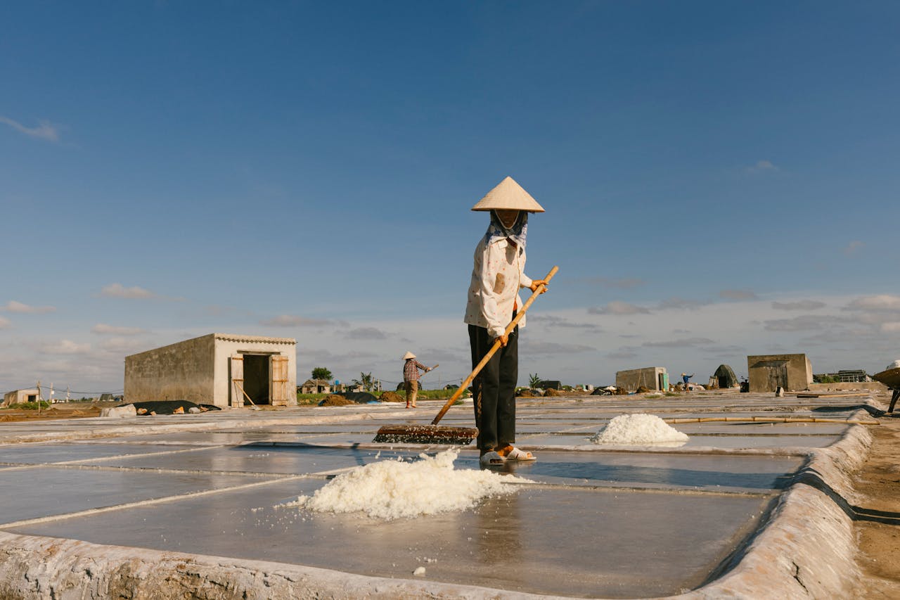 Vietnam’s Growth Remains Strong Despite Yagi