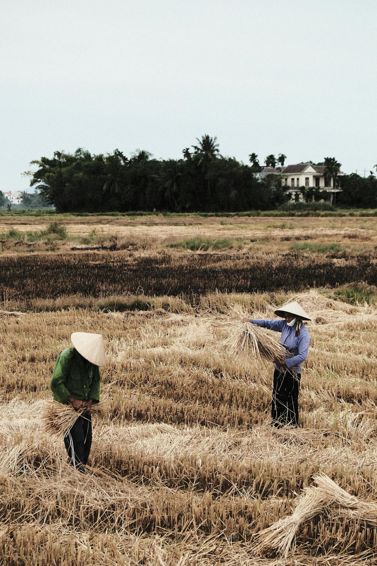 Asia’s Getting Scorched