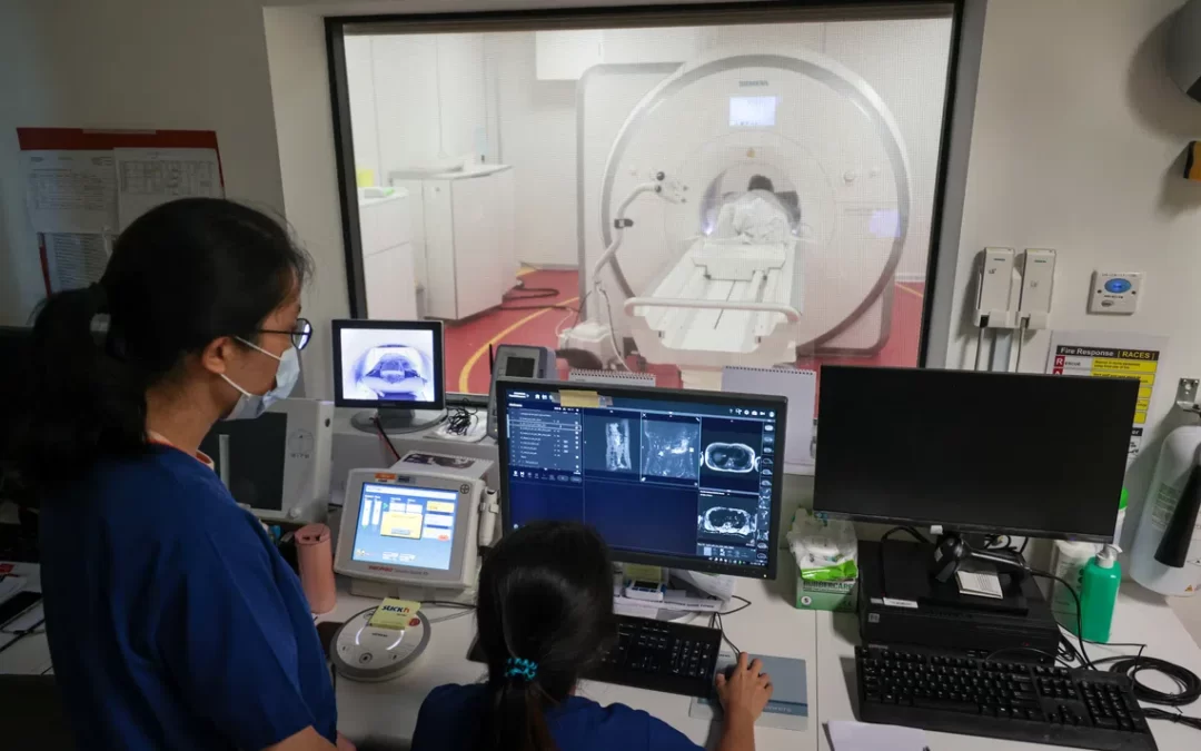 Singapore Prioritises Data Trust and Localisation for Healthcare AI Adoption